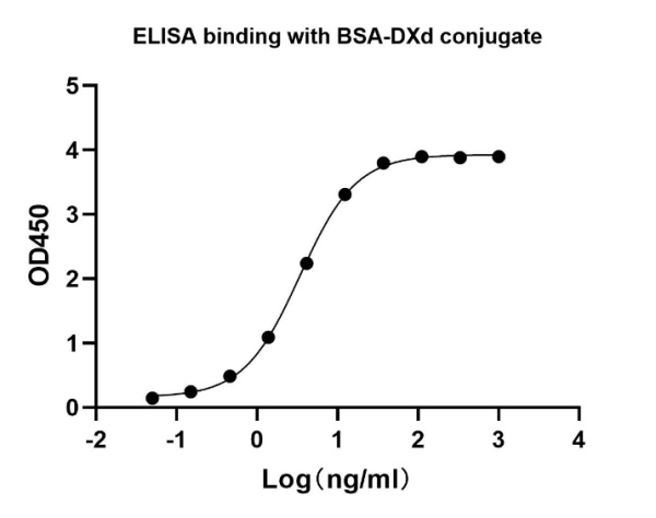 NA0145_Rabbit Anti DXd Antibody, mAb - 图片 2