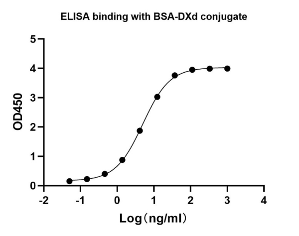 NA0176_Rabbit Anti DXd Antibody, mAb - 图片 3
